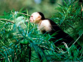 Costa Rica and Nicaragua self drive holiday